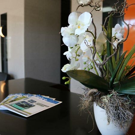 Hotel Dyminy Kielce Dış mekan fotoğraf